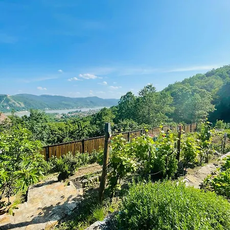 Forestin Vendeghaz Tatil Evi