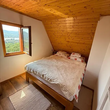 펜션 Forestin Vendeghaz