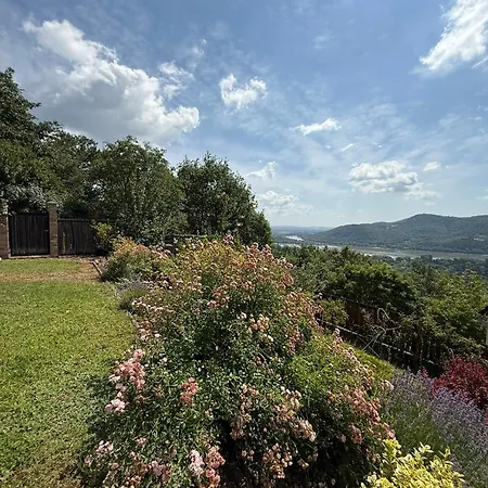 Forestin Vendeghaz *